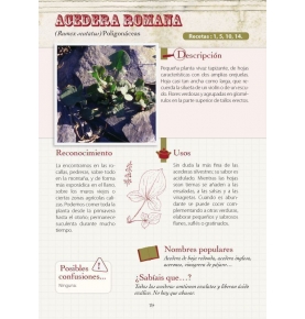 "Cocinar con plantas silvestres", Bernard Bertrand (192 pag.)  de LA FERTILIDAD DE LA TIERRA ED.