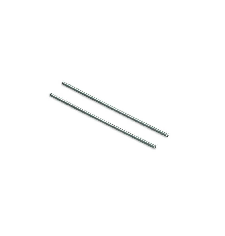 Electrodos de plata, Medionic (2 unidades)  de Medionic