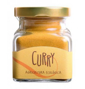 Curry ecológico, Orballo (48g)  de Orballo
