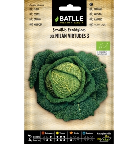 Semillas ecológicas de Col rizada, Milán virtudes 3, Batlle (4g)  de Semillas Batlle S.A