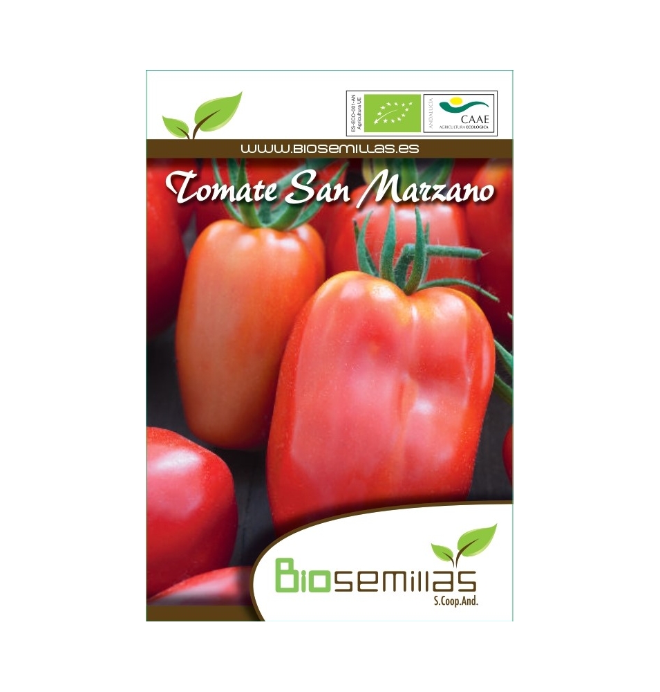 Semillas ecológicas de Tomate San Marzano, Biosemillas  de Biosemillas